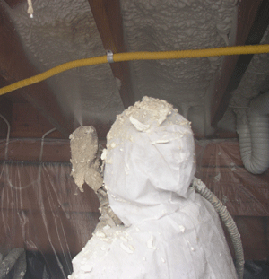 Brownsville TX crawl space insulation