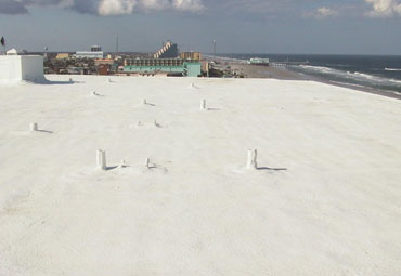 cool roof coatings in Brownsville